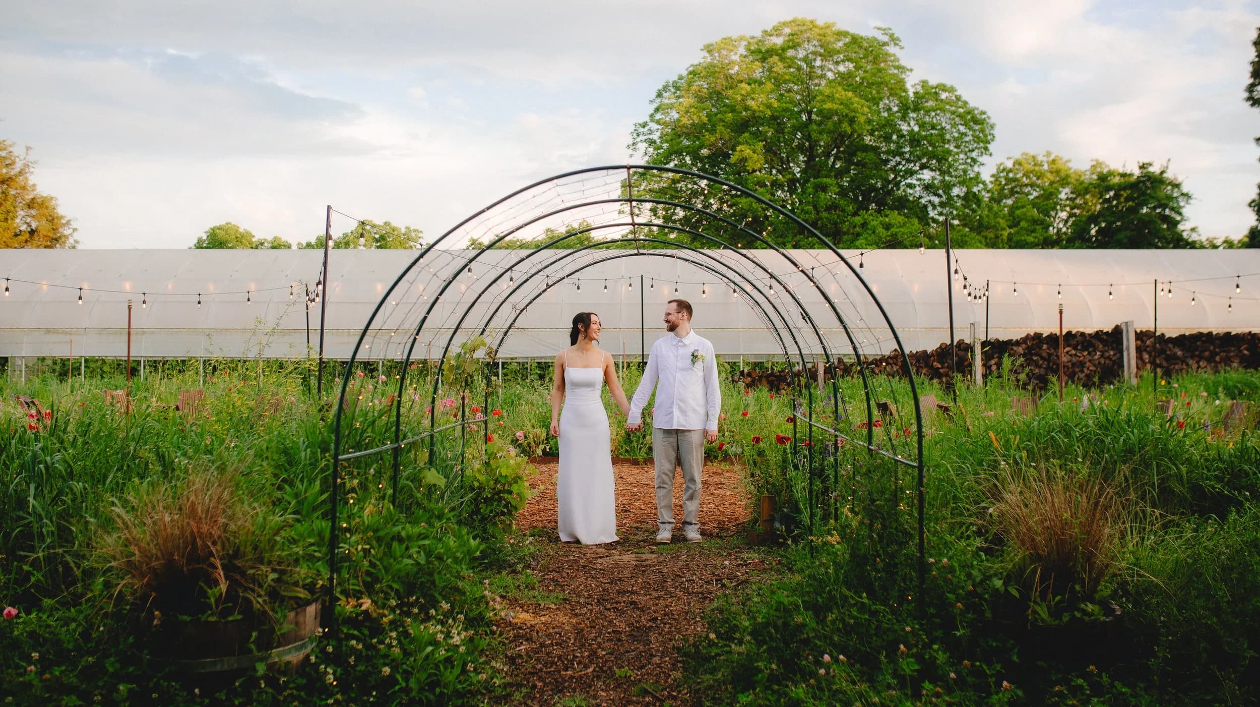 Wedding couple holding hands under the metal garden arches