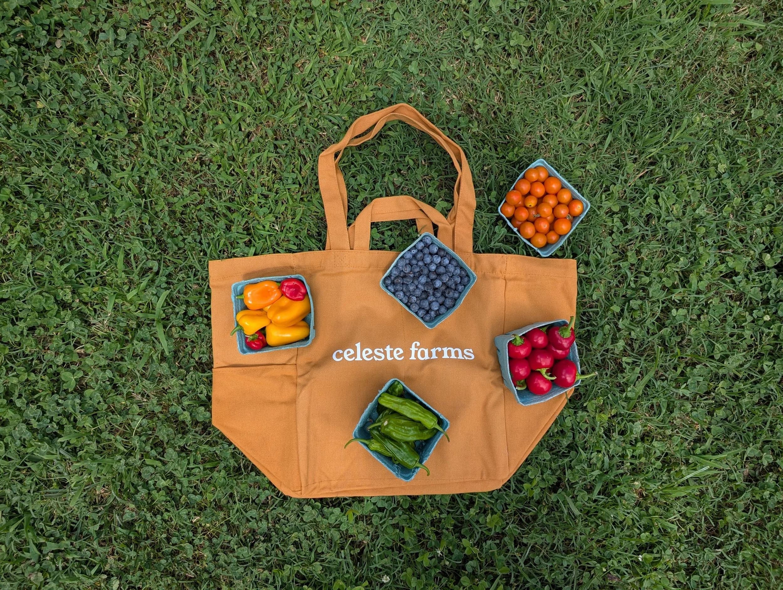 Celeste Farms tote bag filled with fresh produce