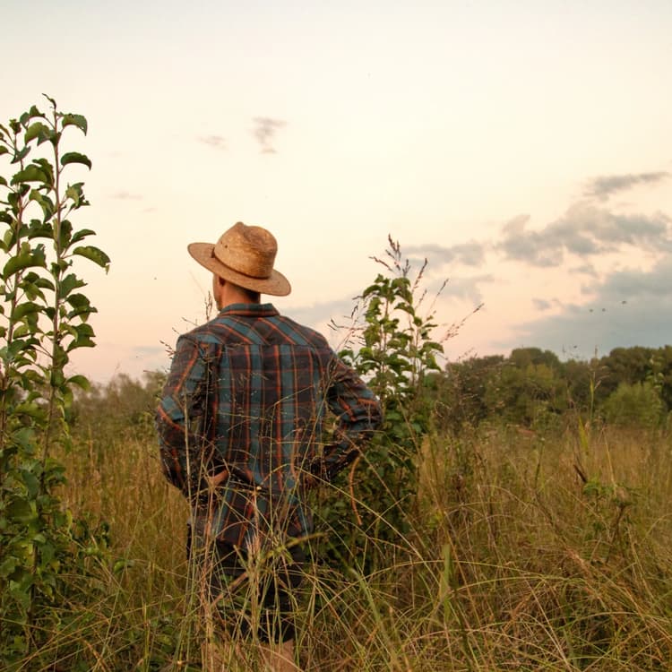 Farmer walking through a wildflower field at dusk