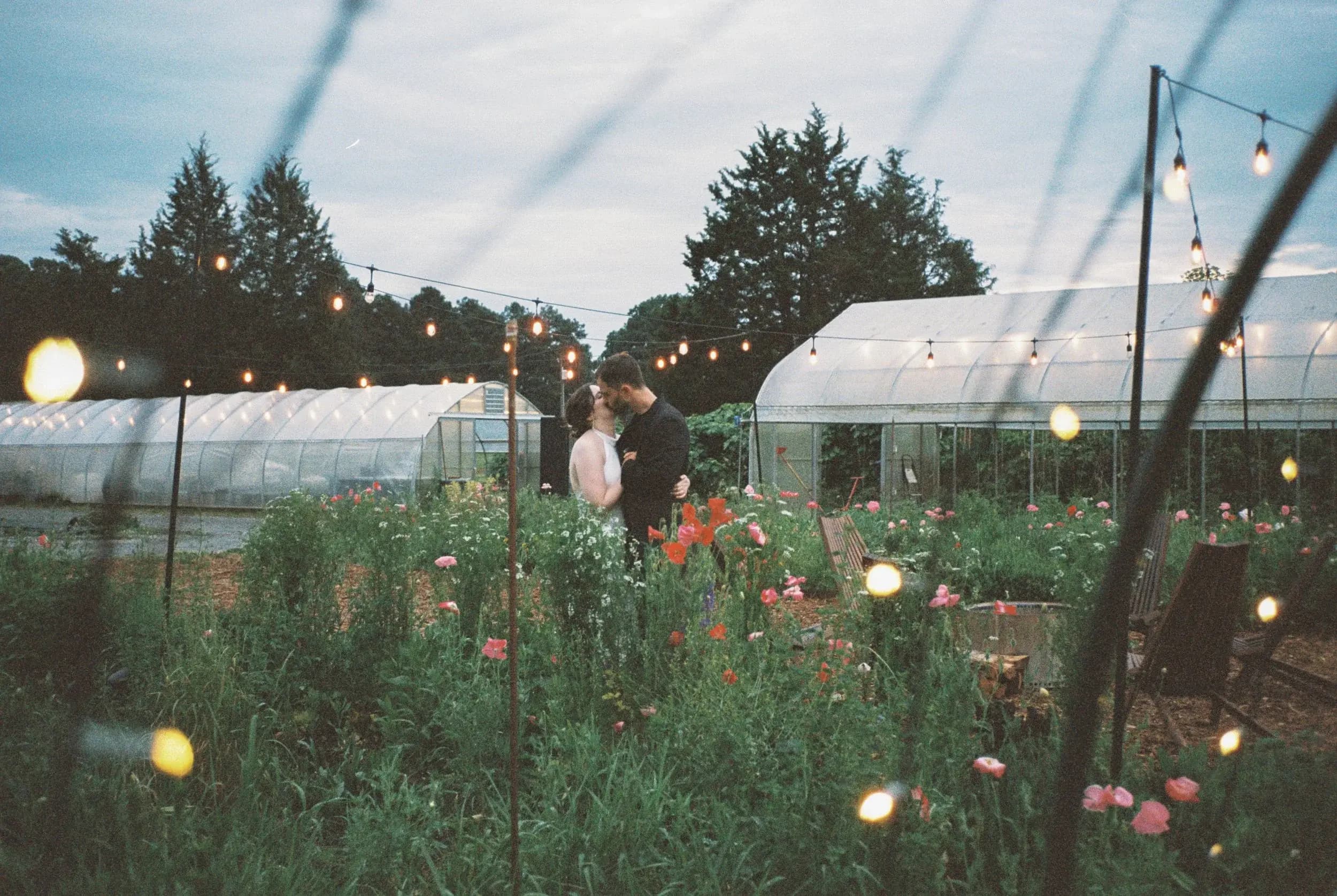 Couple embracing at blue hour near the greenhouses